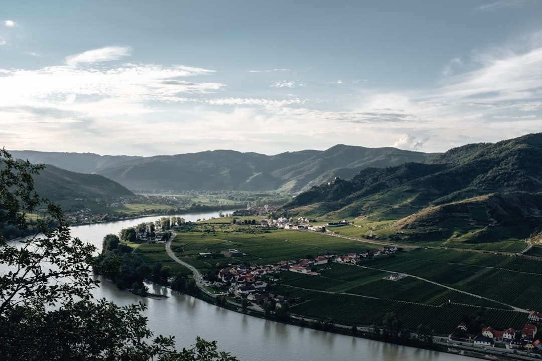 Austria's Wine Industry Earns a Place Among Europe's Most Respected Producers