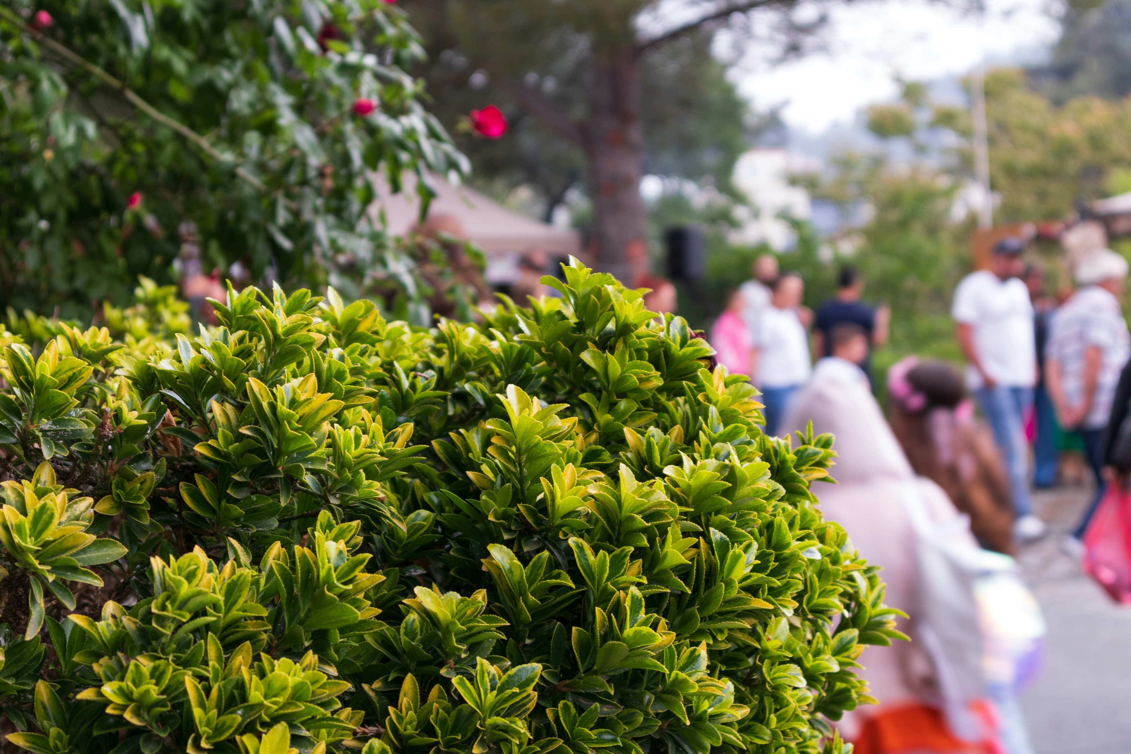 Ancient Traditions and Living Heritage: How Cyprus Safeguards Its Cultural Fabric