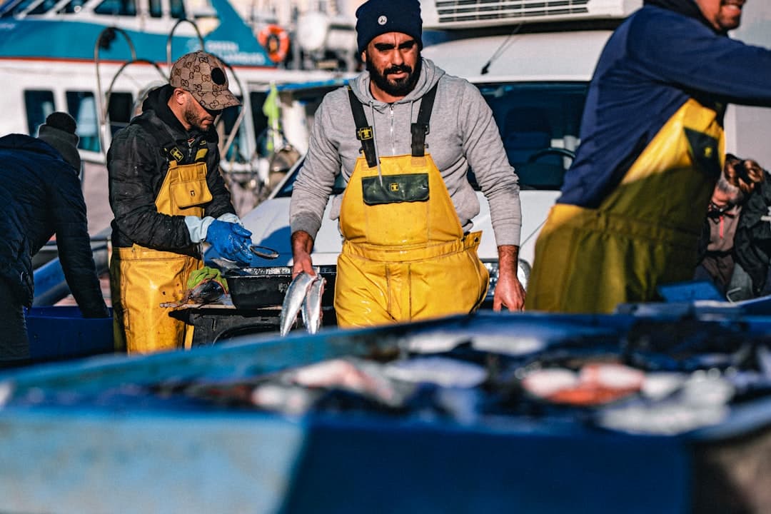 From Fishing Port to Fine Dining: The Rise of Copenhagen as a Gastronomic Powerhouse