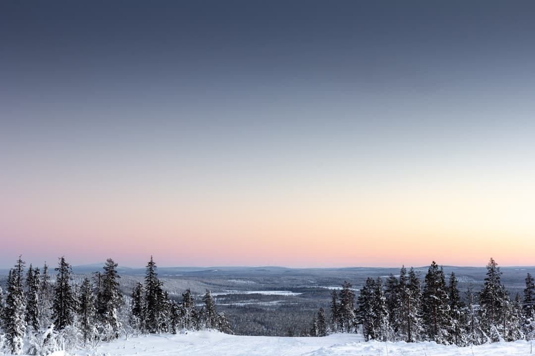 Finland's Lapland Emerges as a Year-Round Destination for International Visitors