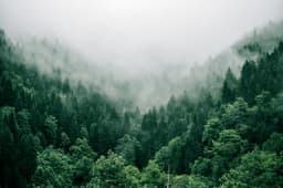 Between Forest and Lab: How Finland Weaves Tradition Into a Modern Identity