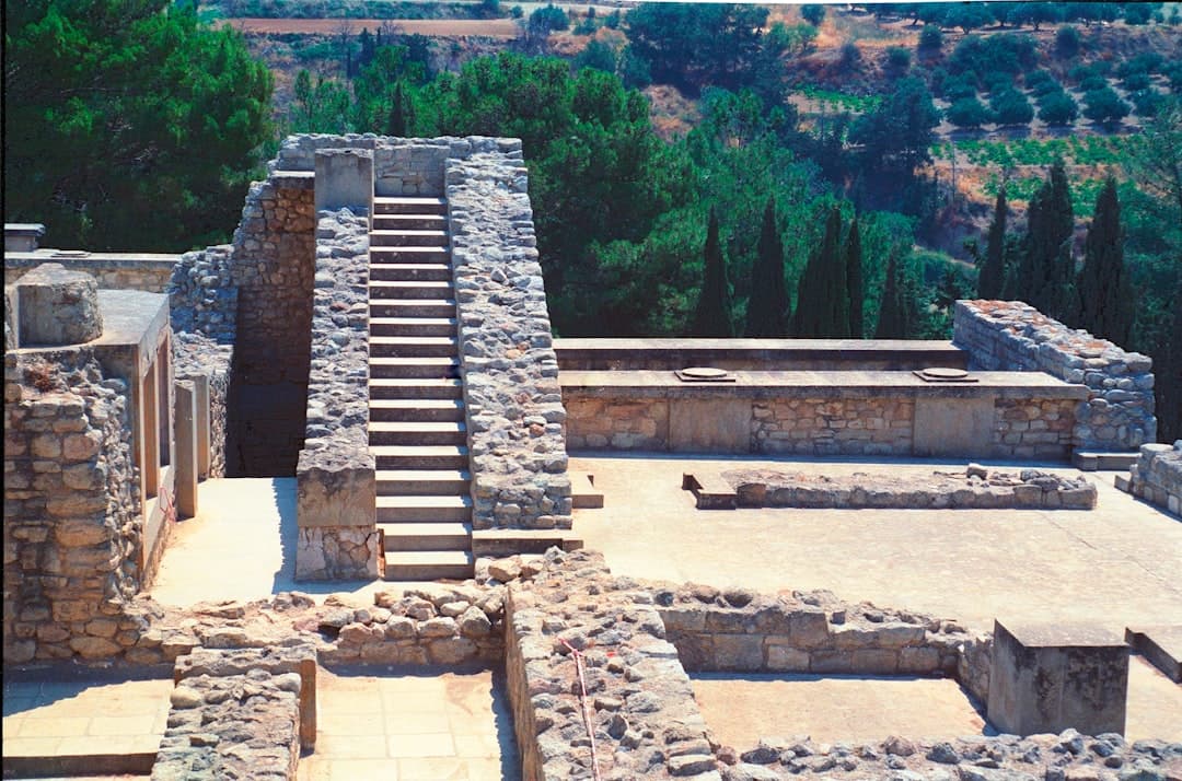 From Ancient Groves to Global Tables: The Rise of Greek Olive Oil