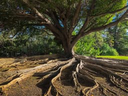 Ancient Roots, Living Practices: How Greek Cultural Heritage Endures Across the Generations