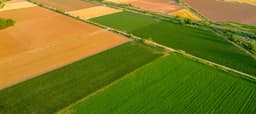 From Field to Table: How Paprika Shapes Hungarian Cuisine and National Identity