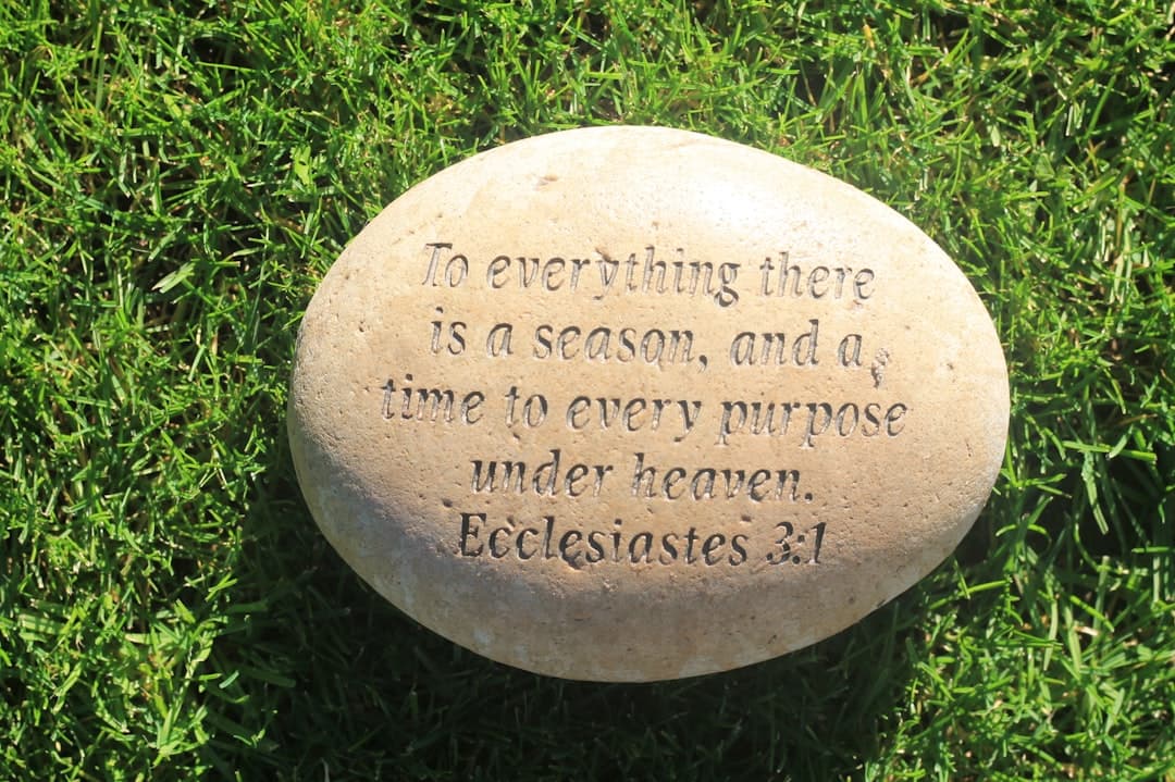 Stone and Scripture: Ireland's Medieval Abbeys Stand as Living Records of a Monastic Past