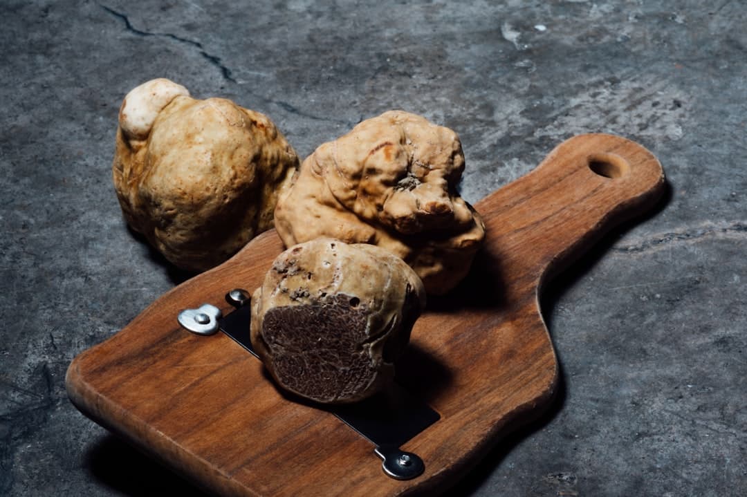 White Truffle Harvest Draws Gourmet Travelers to Northern Italy