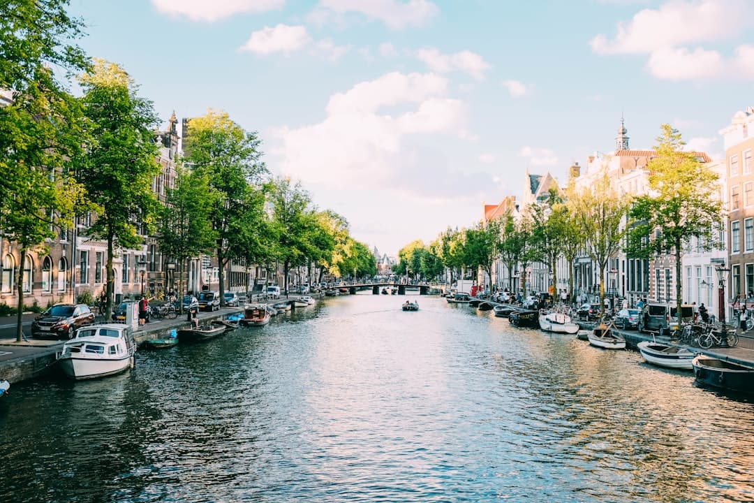 Dutch Infrastructure Push Broadens Network of Green Transit Corridors