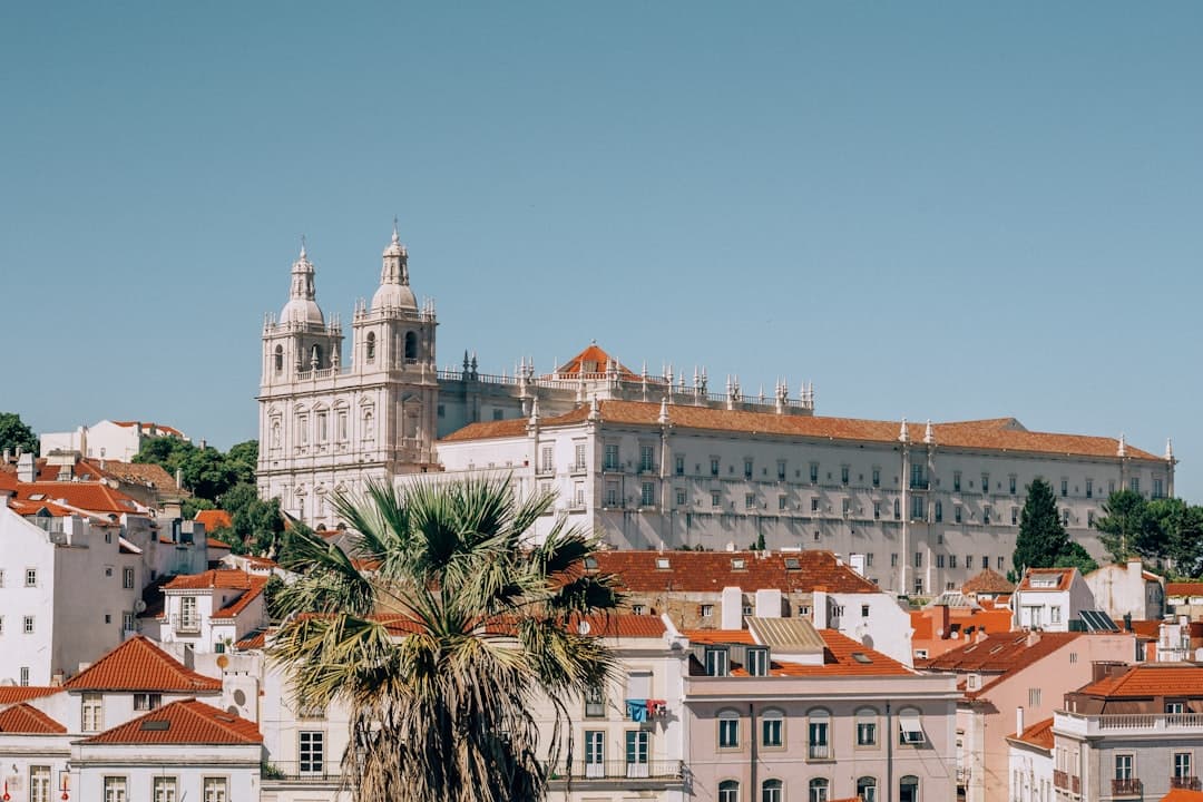 Portugal's Iconic Custard Tart Fuels a Broader Renaissance in Traditional Pastry