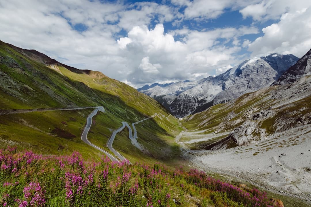 Alpine Heritage Drives the Identity of Slovenian Cuisine