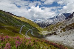 Alpine Heritage Drives the Identity of Slovenian Cuisine