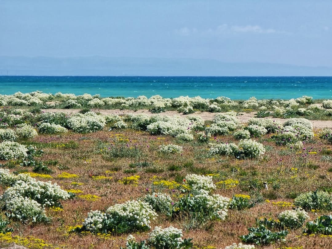 Green Coast and Bay of Biscay Draw Tourists Away from Spain's Crowded South