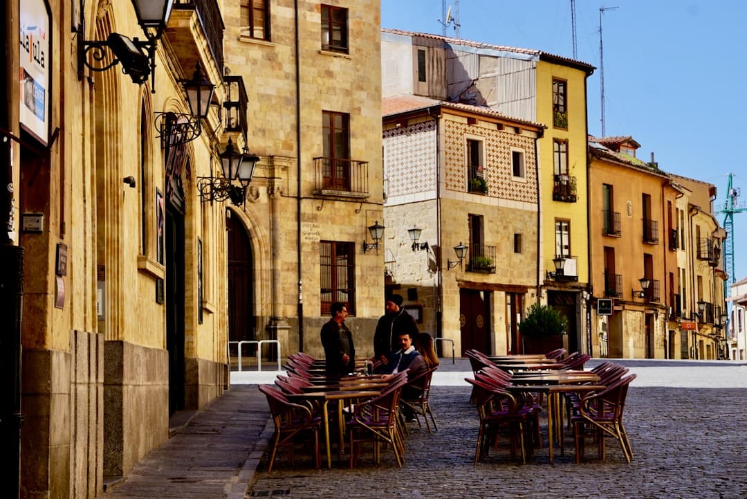 Spain Emerges as Benchmark for Global Olive Oil Quality
