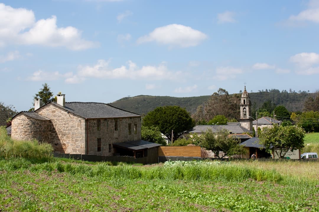 From Galicia to the Atlantic: How Spanish Seafood Culture Travels Beyond Its Shores