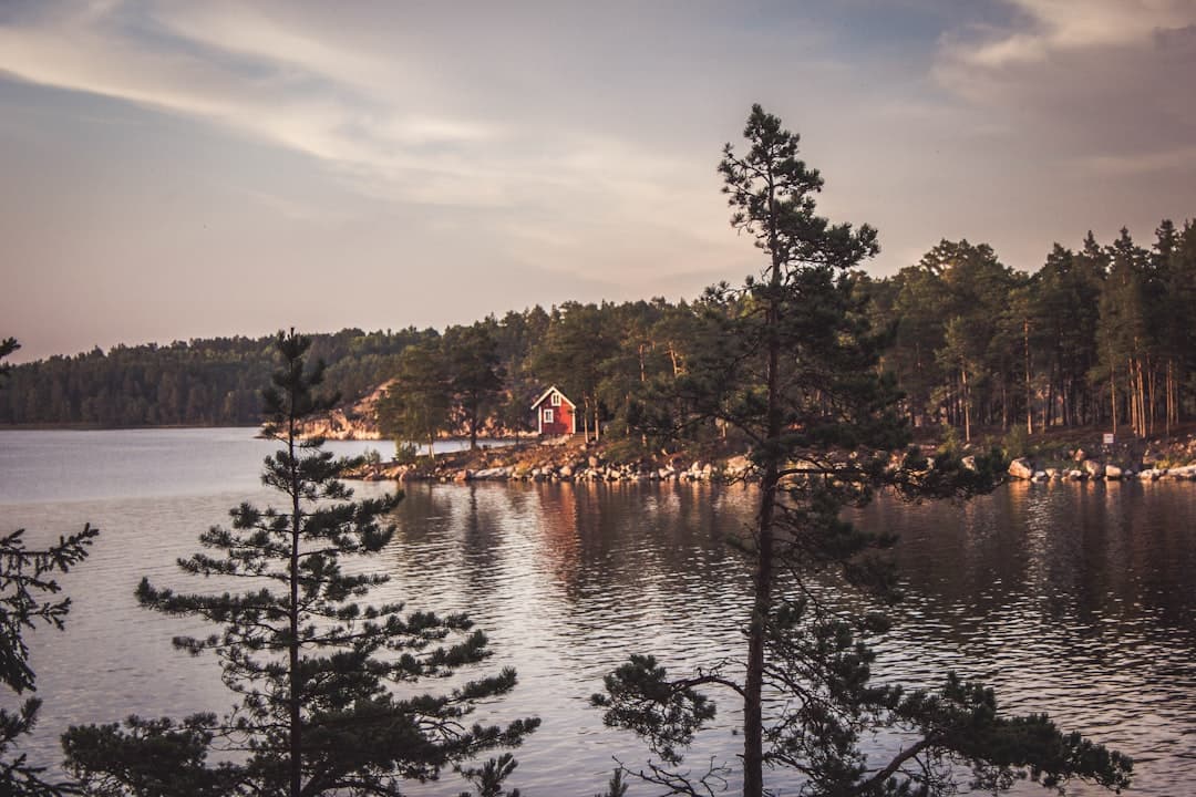 Sweden's Island Chains Draw a New Wave of Nordic Travelers