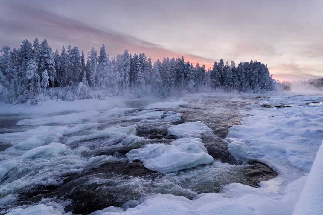 Swedish Lapland Emerges as a Four-Season Destination for Outdoor Enthusiasts