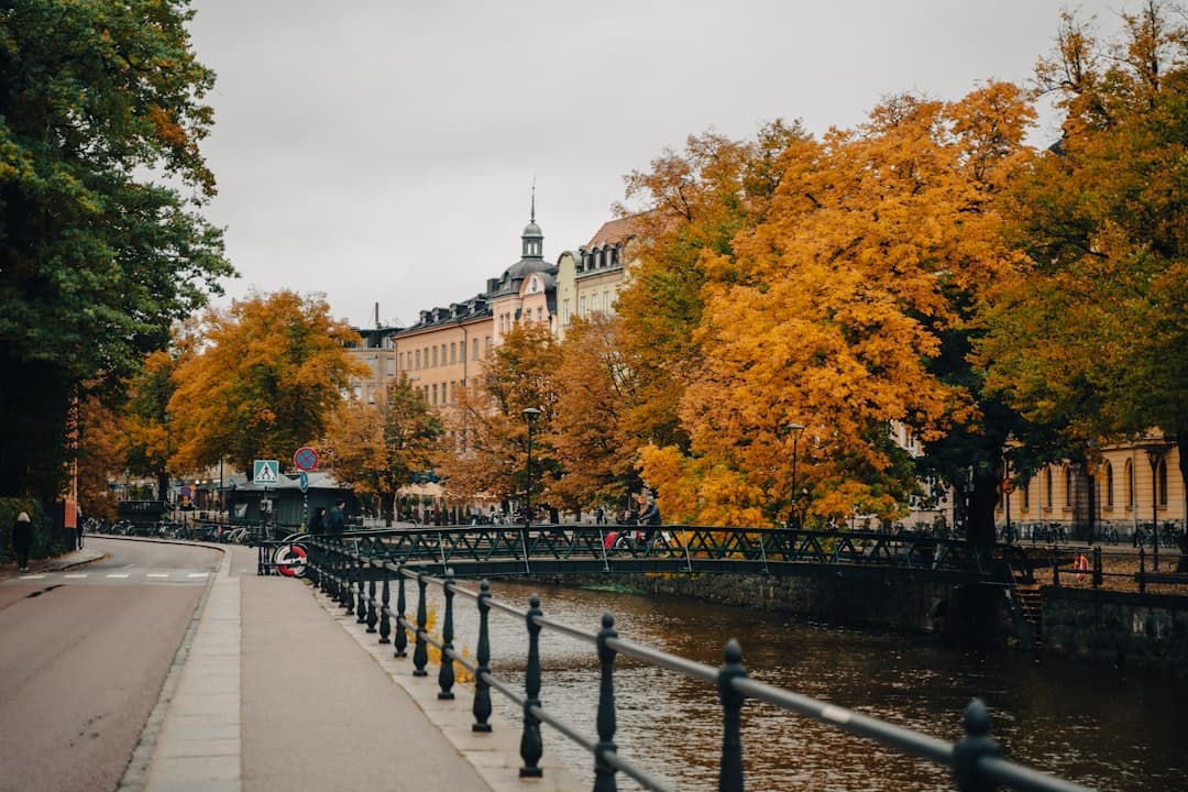 Sweden's Rail Network Opens Pathways to Remote Nordic Landscapes