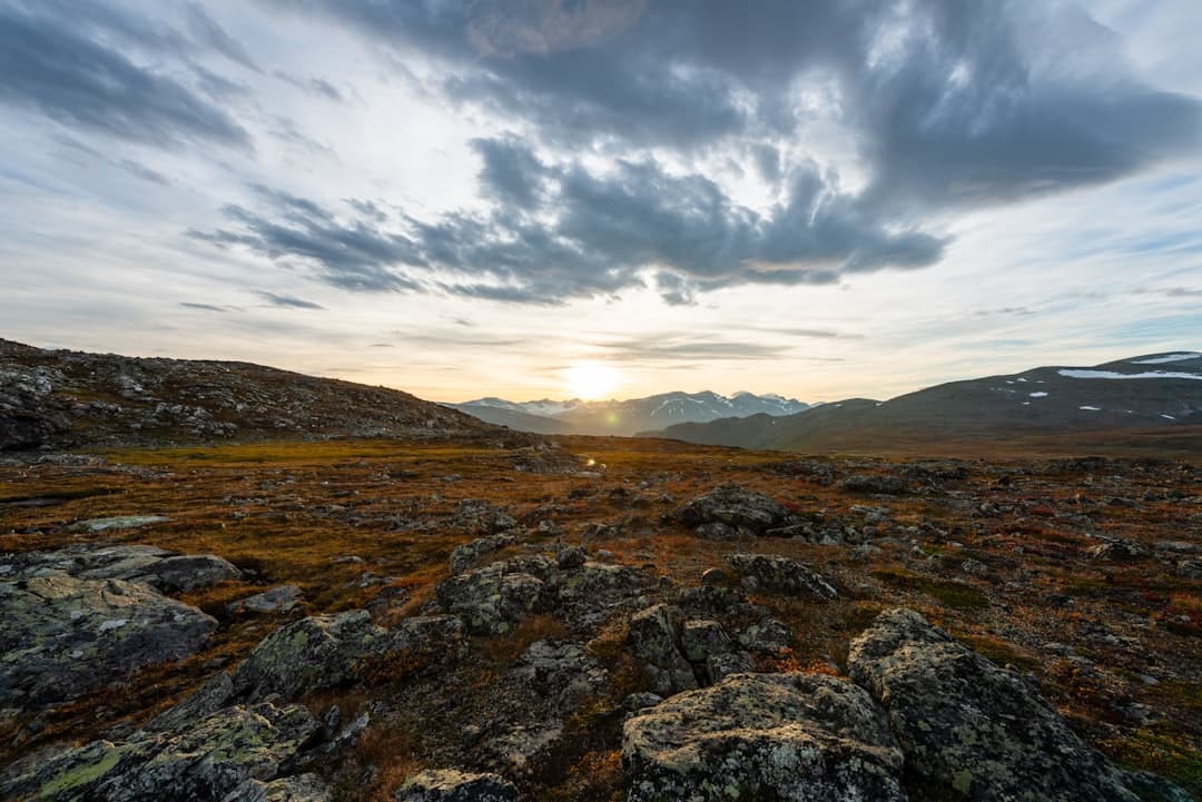 Sweden's Wilderness Areas Emerge as a Benchmark for Sustainable Tourism Across Europe
