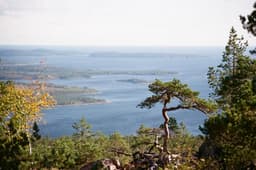 From Scandinavian Roots to European Runways and Living Rooms: How Swedish Design Endures