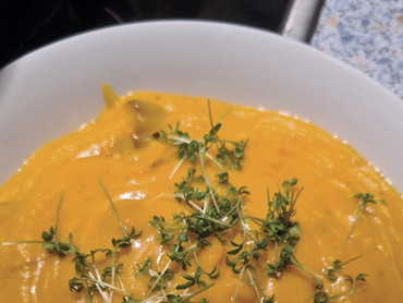 csm_csm_Bild1_005_018_webs__142094_9fcb34322d_2a11b94a28_e349bbe25f