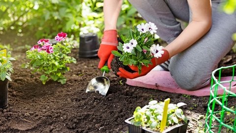 csm_170915.rgb_ae09cab5fa